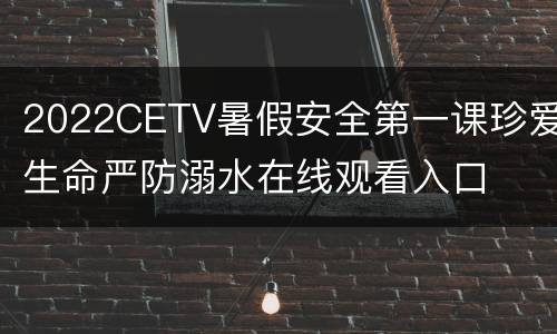 2022CETV暑假安全第一课珍爱生命严防溺水在线观看入口