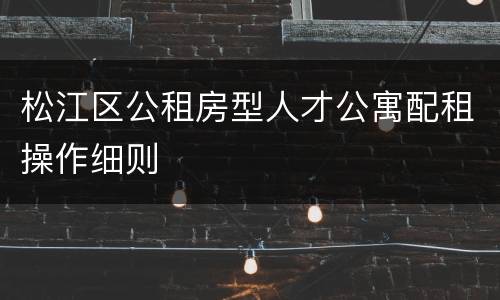 松江区公租房型人才公寓配租操作细则