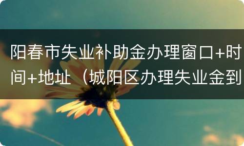 阳春市失业补助金办理窗口+时间+地址（城阳区办理失业金到哪去办）
