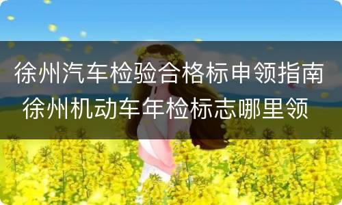 徐州汽车检验合格标申领指南 徐州机动车年检标志哪里领