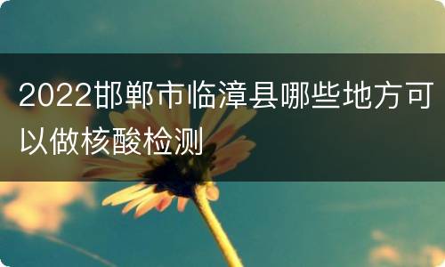2022邯郸市临漳县哪些地方可以做核酸检测