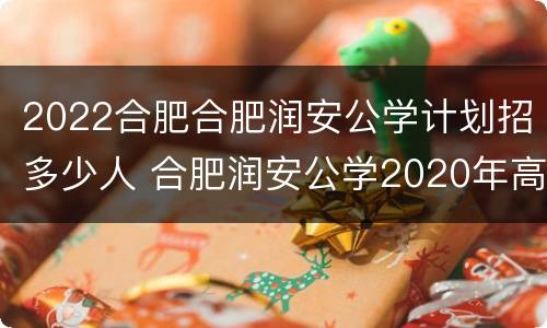 2022合肥合肥润安公学计划招多少人 合肥润安公学2020年高考录取率