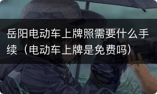 岳阳电动车上牌照需要什么手续（电动车上牌是免费吗）