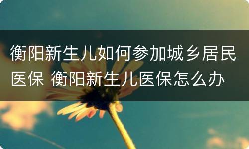 衡阳新生儿如何参加城乡居民医保 衡阳新生儿医保怎么办