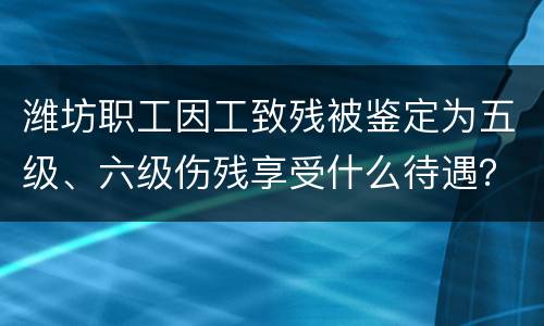 潍坊职工因工致残被鉴定为五级、六级伤残享受什么待遇？