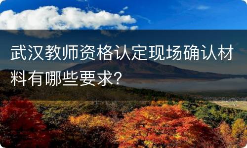 武汉教师资格认定现场确认材料有哪些要求？