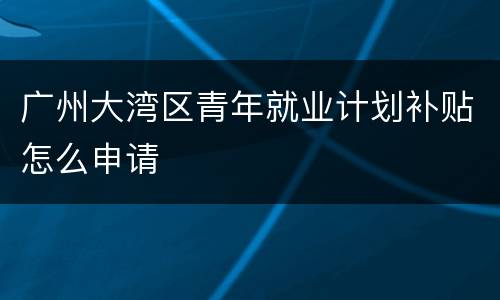 广州大湾区青年就业计划补贴怎么申请