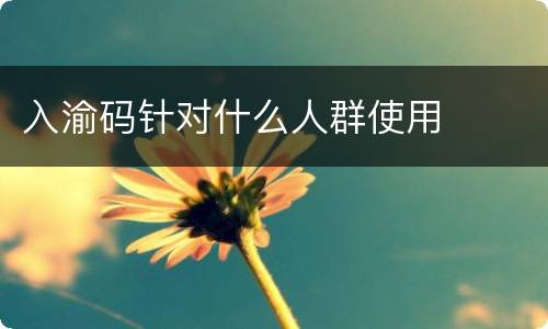 入渝码针对什么人群使用