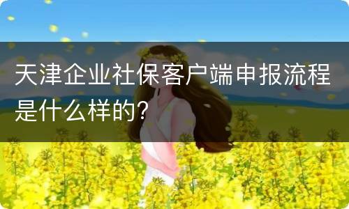 天津企业社保客户端申报流程是什么样的?