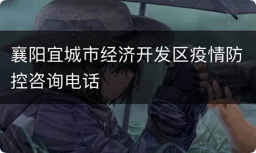 襄阳宜城市经济开发区疫情防控咨询电话