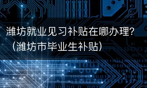 潍坊就业见习补贴在哪办理？（潍坊市毕业生补贴）
