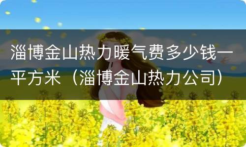 淄博金山热力暖气费多少钱一平方米（淄博金山热力公司）