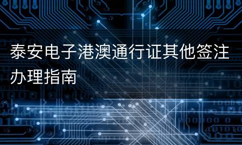 泰安电子港澳通行证其他签注办理指南