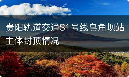 贵阳轨道交通S1号线皂角坝站主体封顶情况