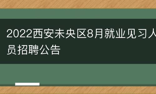 2022西安未央区8月就业见习人员招聘公告