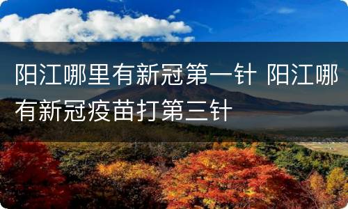 阳江哪里有新冠第一针 阳江哪有新冠疫苗打第三针