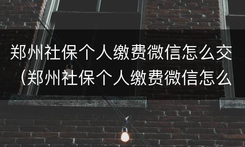 郑州社保个人缴费微信怎么交（郑州社保个人缴费微信怎么交钱）