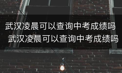 武汉凌晨可以查询中考成绩吗 武汉凌晨可以查询中考成绩吗