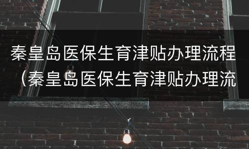 秦皇岛医保生育津贴办理流程（秦皇岛医保生育津贴办理流程2022年）