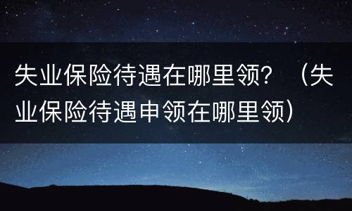失业保险待遇在哪里领？（失业保险待遇申领在哪里领）