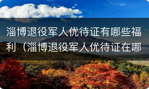 淄博退役军人优待证有哪些福利（淄博退役军人优待证在哪办理）