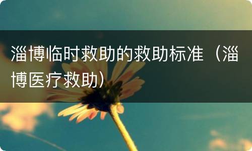 淄博临时救助的救助标准（淄博医疗救助）