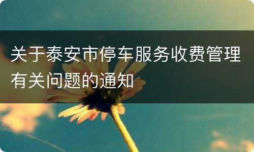 关于泰安市停车服务收费管理有关问题的通知