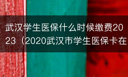 武汉学生医保什么时候缴费2023（2020武汉市学生医保卡在哪里缴费）