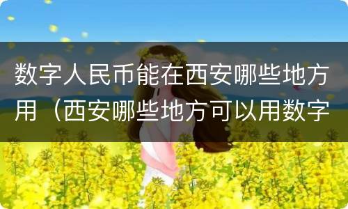 数字人民币能在西安哪些地方用（西安哪些地方可以用数字人民币）