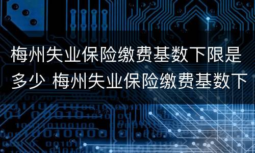 梅州失业保险缴费基数下限是多少 梅州失业保险缴费基数下限是多少啊