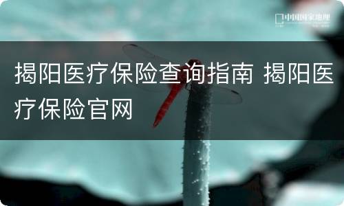 揭阳医疗保险查询指南 揭阳医疗保险官网