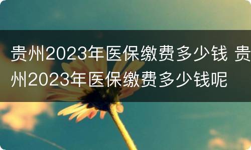 贵州2023年医保缴费多少钱 贵州2023年医保缴费多少钱呢