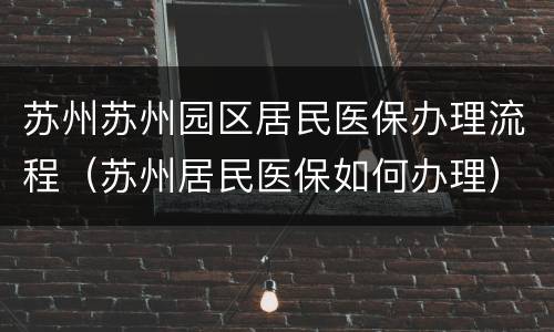 苏州苏州园区居民医保办理流程（苏州居民医保如何办理）
