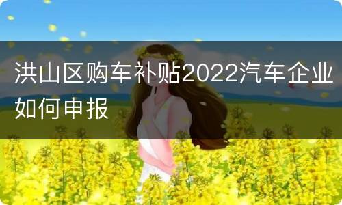 洪山区购车补贴2022汽车企业如何申报