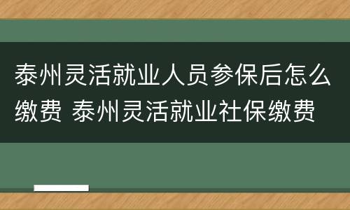 泰州灵活就业人员参保后怎么缴费 泰州灵活就业社保缴费