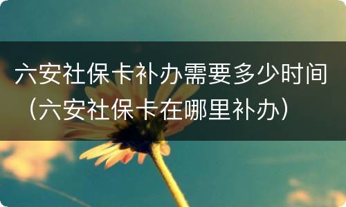 六安社保卡补办需要多少时间（六安社保卡在哪里补办）