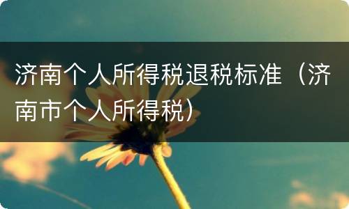 济南个人所得税退税标准（济南市个人所得税）