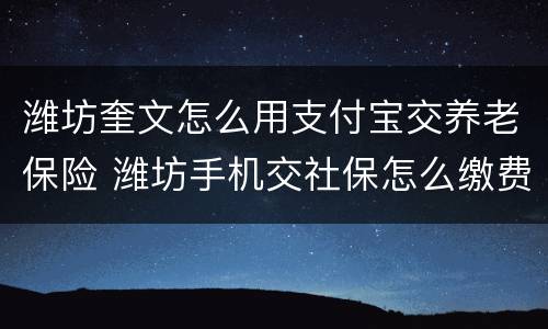 潍坊奎文怎么用支付宝交养老保险 潍坊手机交社保怎么缴费