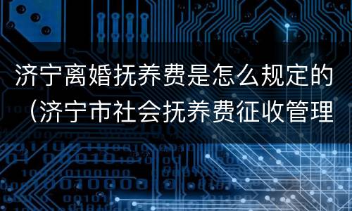 济宁离婚抚养费是怎么规定的（济宁市社会抚养费征收管理办法）