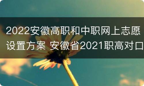 2022安徽高职和中职网上志愿设置方案 安徽省2021职高对口招生院校