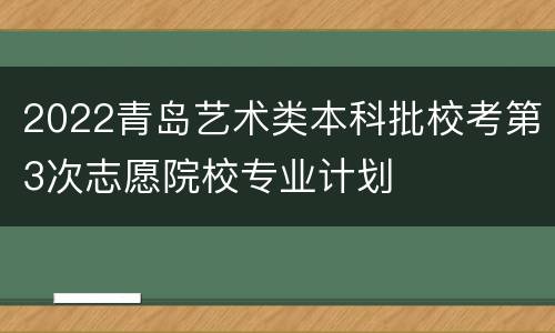 2022青岛艺术类本科批校考第3次志愿院校专业计划