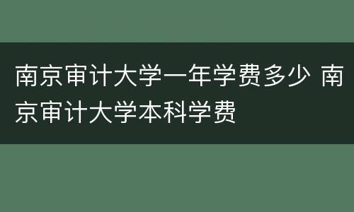 南京审计大学一年学费多少 南京审计大学本科学费