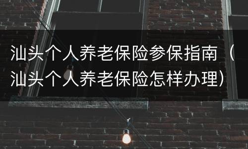 汕头个人养老保险参保指南（汕头个人养老保险怎样办理）