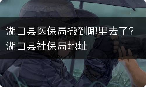 湖口县医保局搬到哪里去了? 湖口县社保局地址