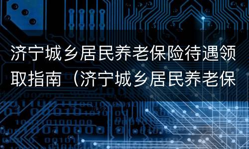 济宁城乡居民养老保险待遇领取指南（济宁城乡居民养老保险政策）