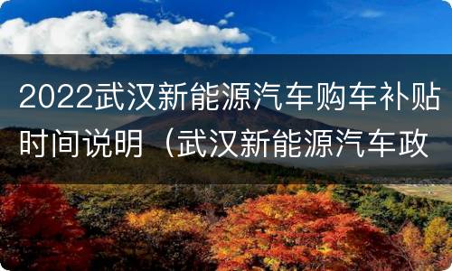 2022武汉新能源汽车购车补贴时间说明（武汉新能源汽车政策）