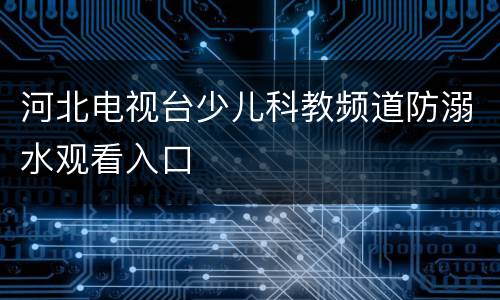 河北电视台少儿科教频道防溺水观看入口