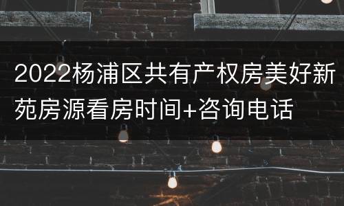 2022杨浦区共有产权房美好新苑房源看房时间+咨询电话