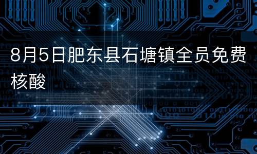 8月5日肥东县石塘镇全员免费核酸
