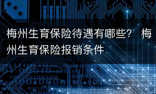 梅州生育保险待遇有哪些？ 梅州生育保险报销条件